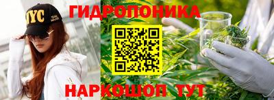 ГАЛЛЮЦИНОГЕННЫЕ ГРИБЫ Ирбит
